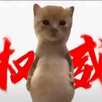 京江头像