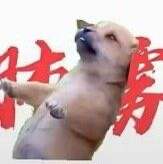 京江头像