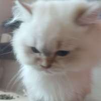 小婷坏脾气⠀头像