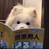 大家都是屌丝有什么好争的头像