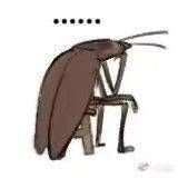 风嫂蟑螂生存记头像