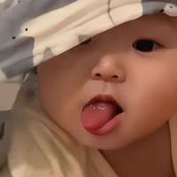 有一只崽仔头像