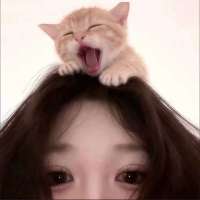饿死啦鸭头像