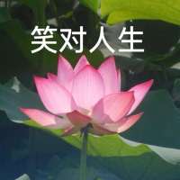 拜金女。头像