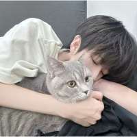 lvy.头像