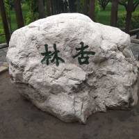 *波头像