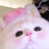 *÷头像