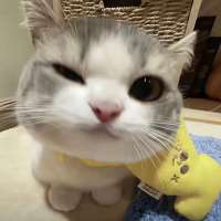 *嘉头像