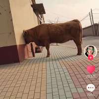 用户2580975头像
