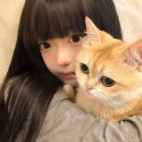 小番茄炒蛋炒饭头像