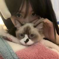 **.头像