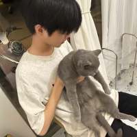 ****.头像