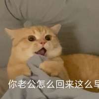 奶茶小狗头像