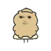 笙笙🐽头像