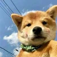 ***꧂头像