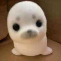 小海豹🦭头像