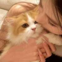 狐悠悠头像