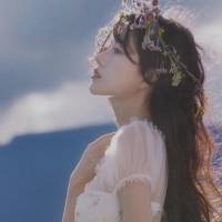 森林幽梦头像