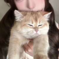 小羊ᴼ̴头像