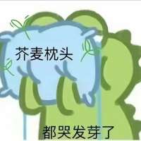 我是客服，纯女陪）需要私（绿）头像