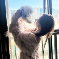 牛霸天（纯绿）头像