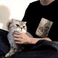 猛踹瘸子那条好腿呀头像