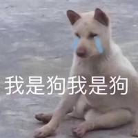 ***喽头像