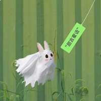 迟昕昕头像