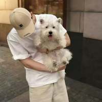 伦伦晚安头像