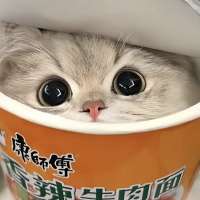 商心暖慈意头像