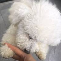 ****1头像