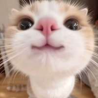 ***变头像