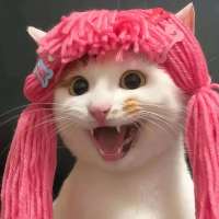 洛七七头像