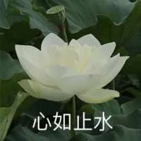 见深头像