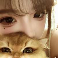香 莱头像