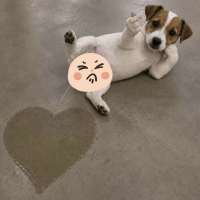 图你脚臭头像