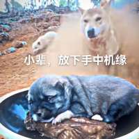 写意。头像
