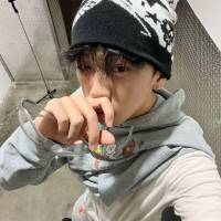 绵羊ovo头像
