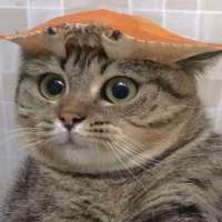 㢂头像
