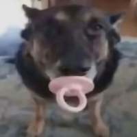 ******b头像