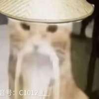 ****的头像