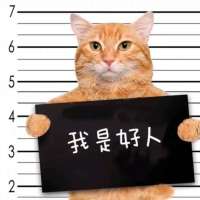 沐巷。头像