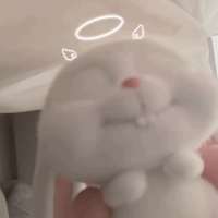 **冻头像