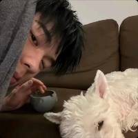 小手✘头像