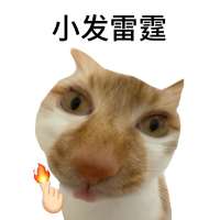 白凉茶欢头像
