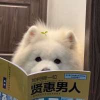 好困🥱呀头像