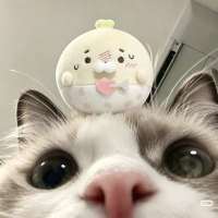 🌟榆头像