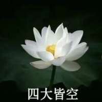 斗酒头像