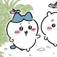 桃 枝头像