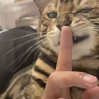 習.慣头像